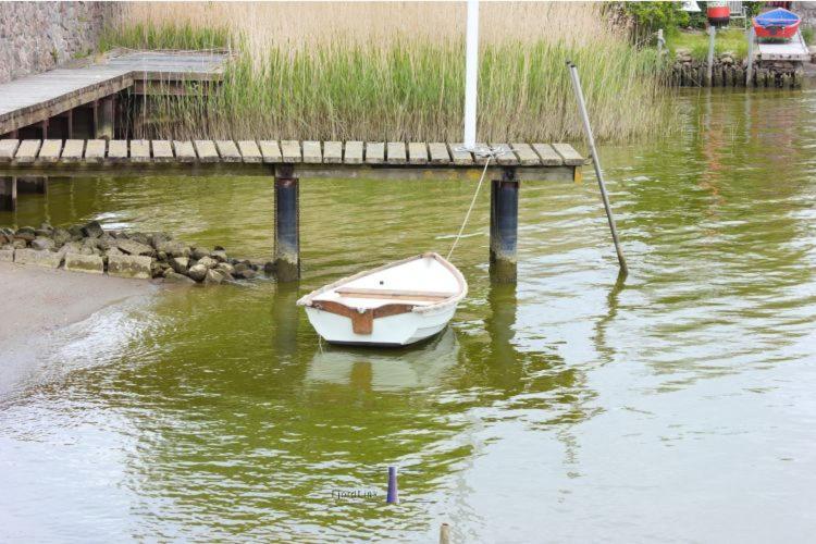 Hausboot Fjord Aries Mit Dachterrasse In Schleswig 호텔 외부 사진